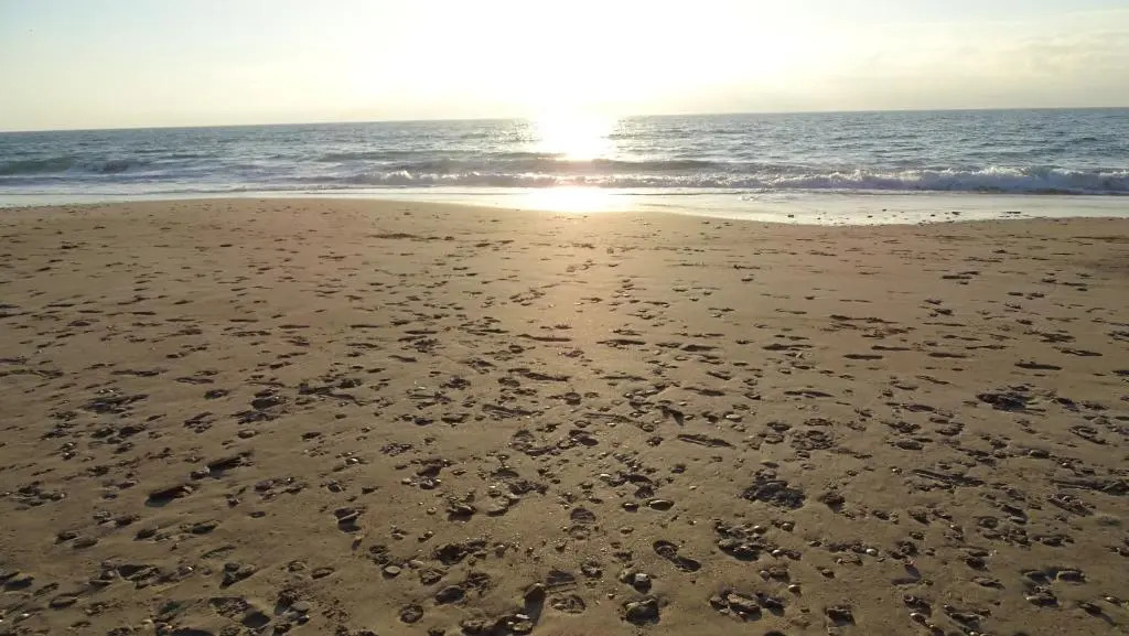 Luz de la Bahía II - Bahía Sur - Cádiz