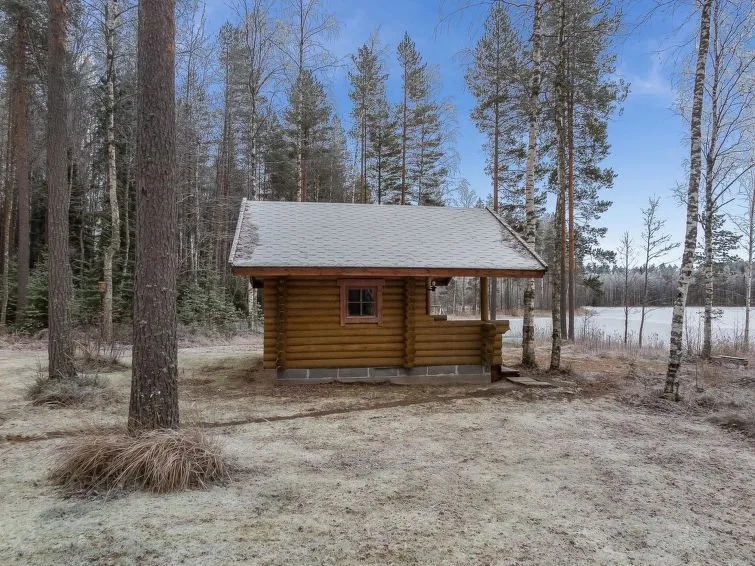 Aurinkoniemi