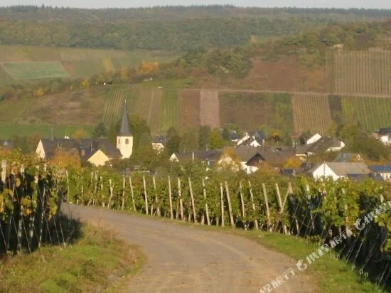 Wein- und Gästehaus Fries