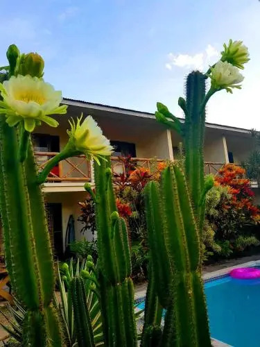 Vaea Hotel Samoa