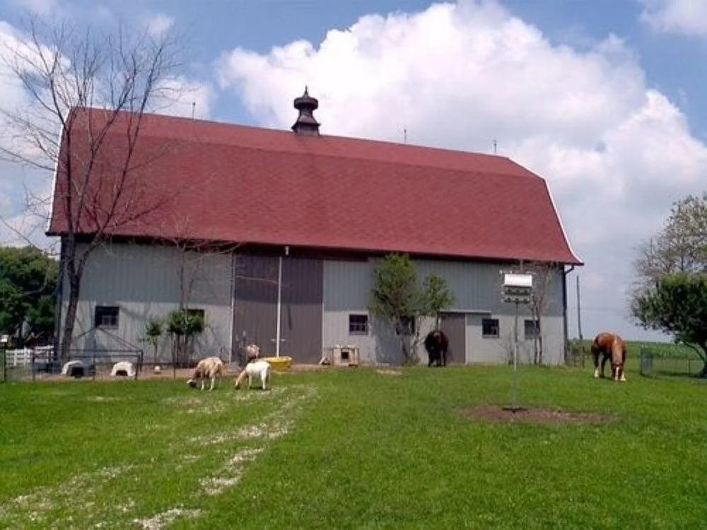 Buck Creek Farm