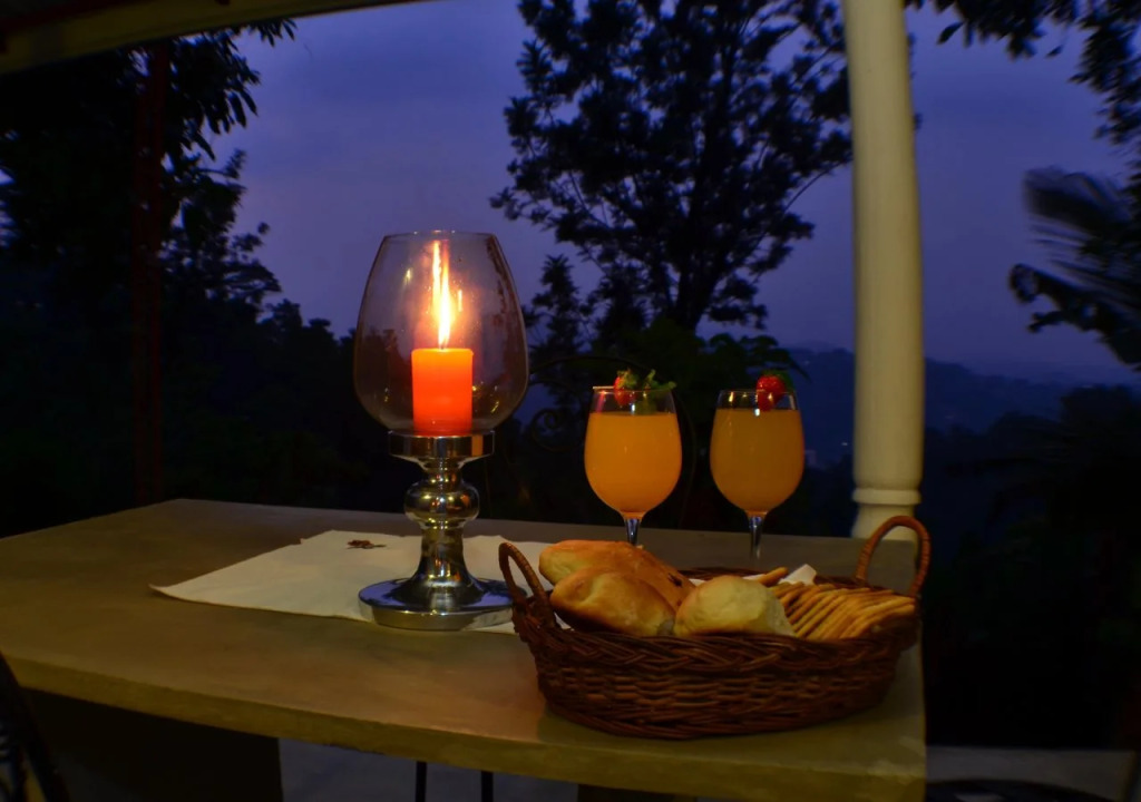 Villa Shenandoah