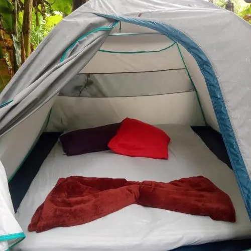 Hostel Trópico de Capricórnio