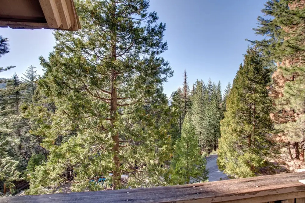 Timberlodge Cabin
