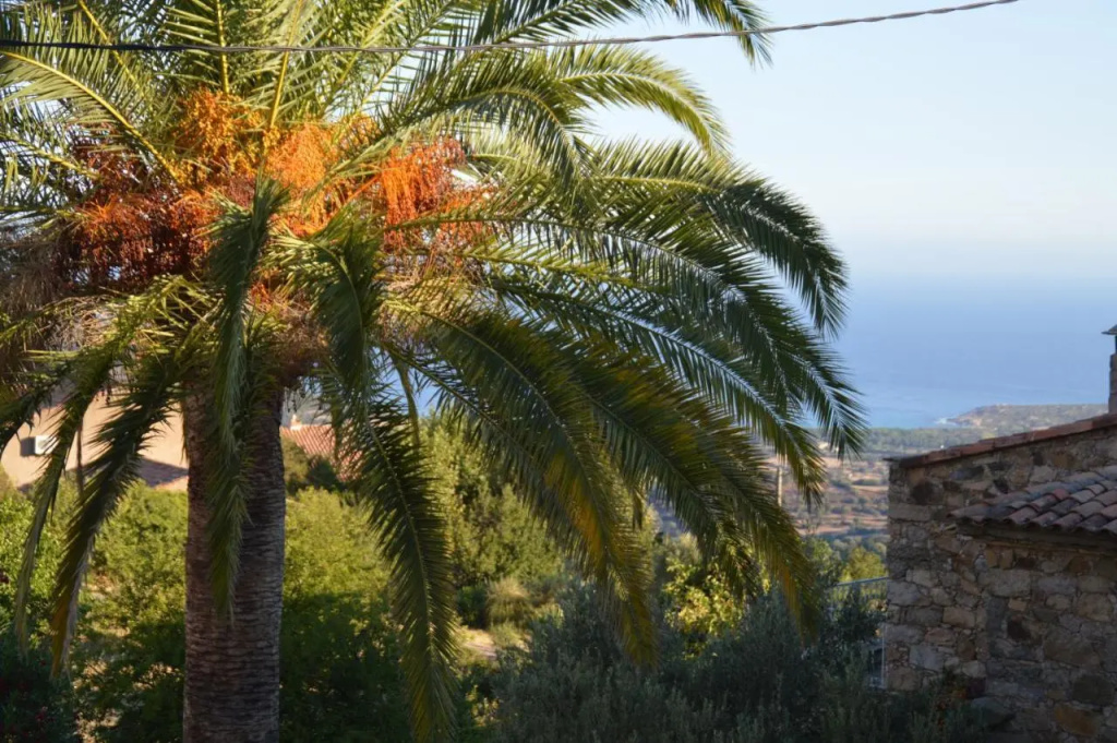 maison corse en balagne