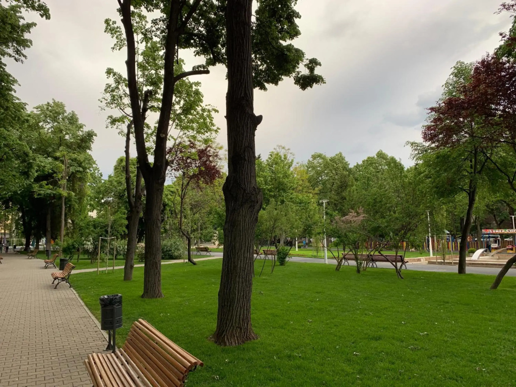 Floreasca Apartment Bach