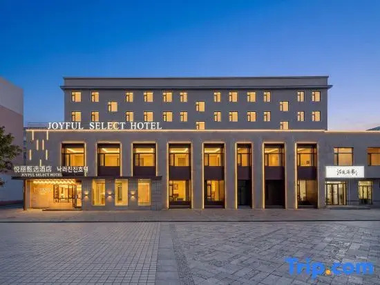 悦丽臻选酒店 Joyful Select Hotel