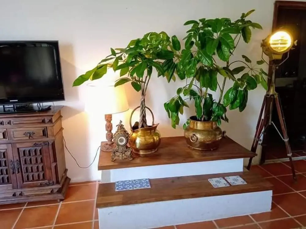 Beach House Babylon guest house with kitchenette and garden