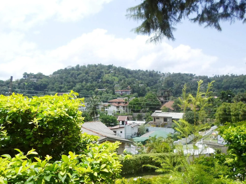 Kandy Hills