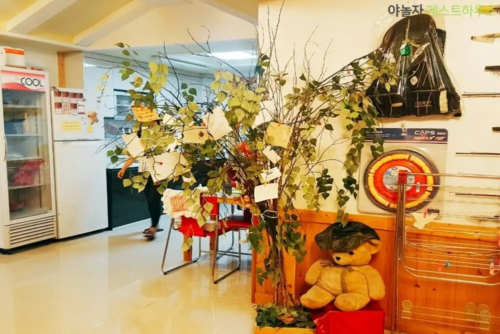 Jeju Orange Unshared House