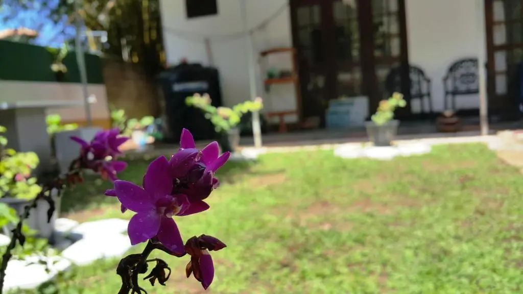 Era Holiday House