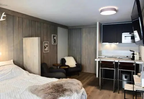 Studio 3 personnes centre station proche pistes 79852