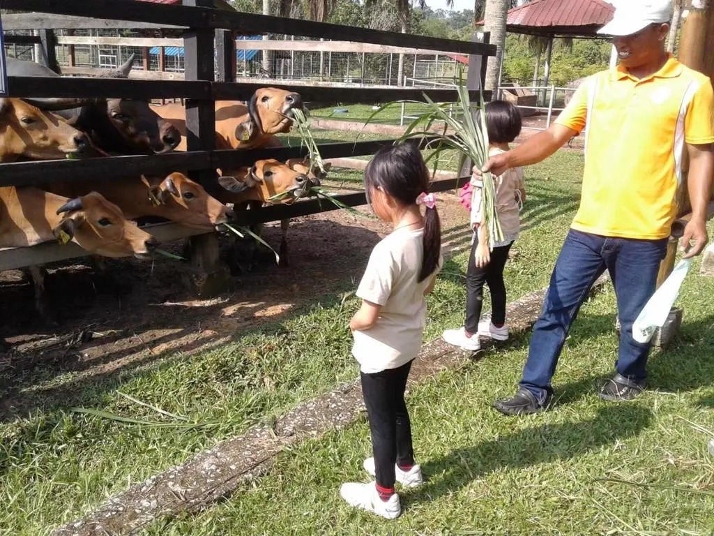 MTFF Farm Stay