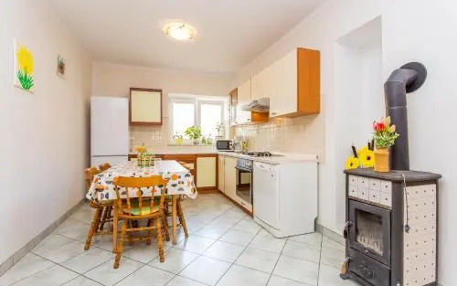 Apartment Ana