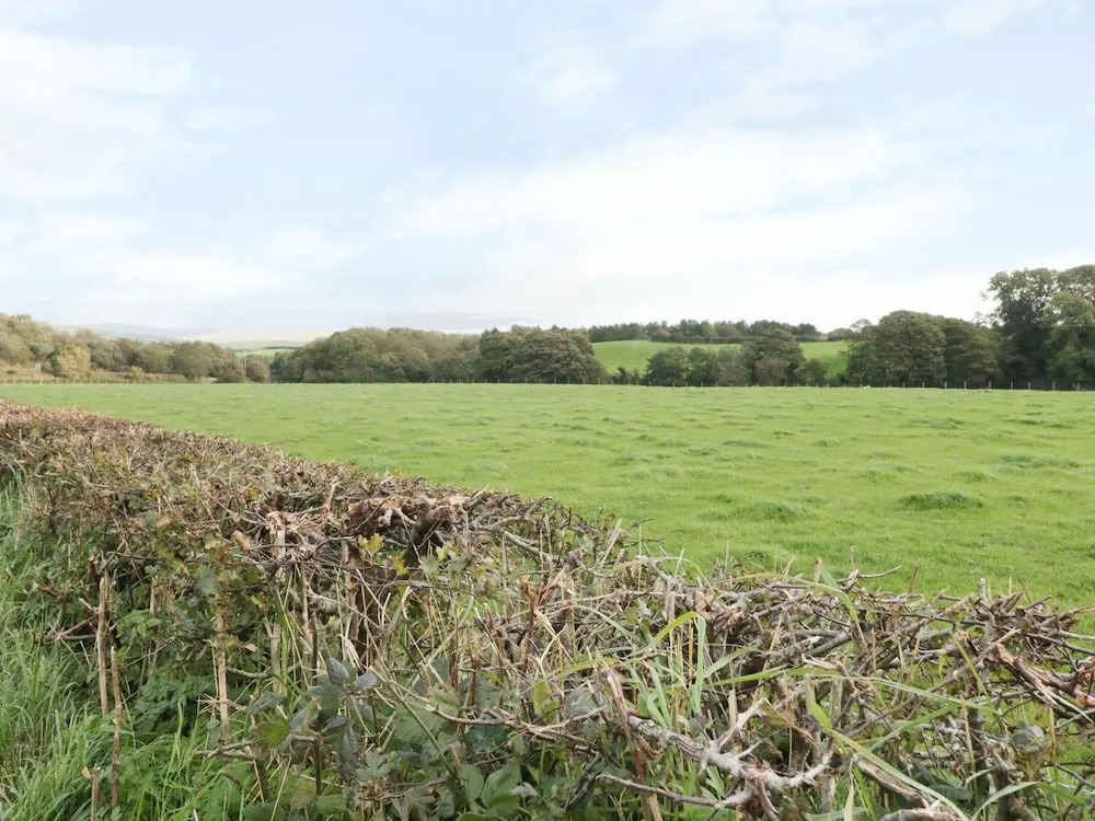 Coney Garth Barn
