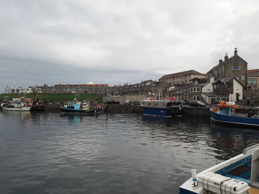 Little Haven