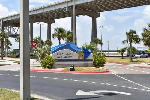 Corpus Christi Beach Condo 3120