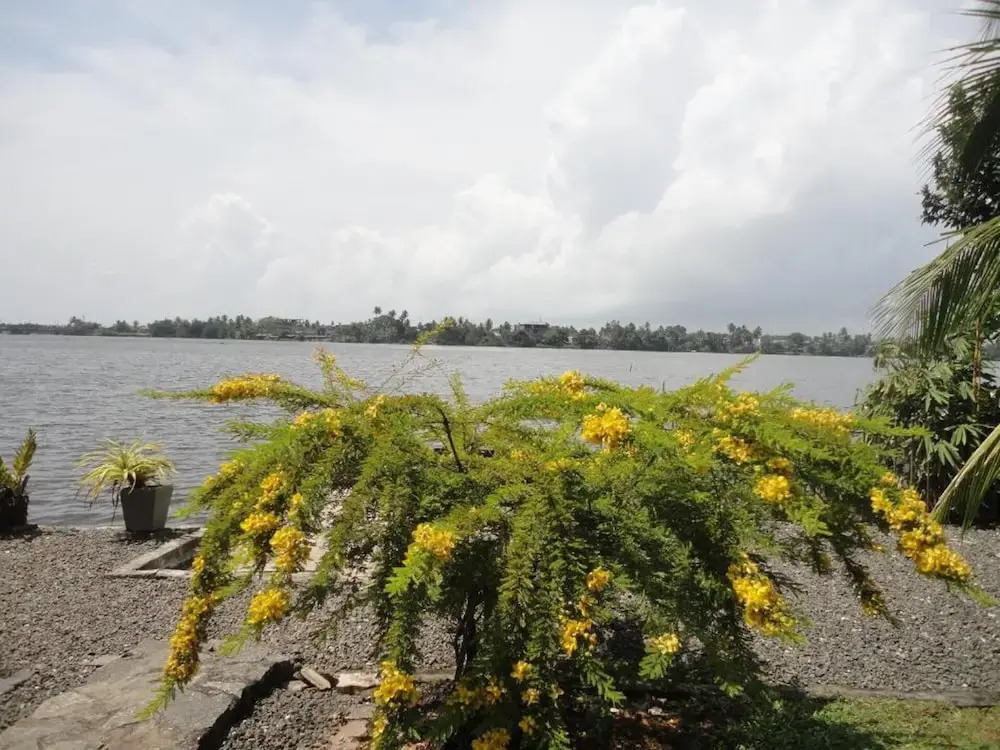 Sapara River Guest 600m Beach