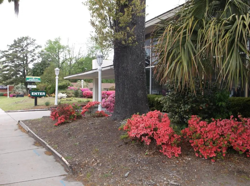 Azalea Inn & Suites