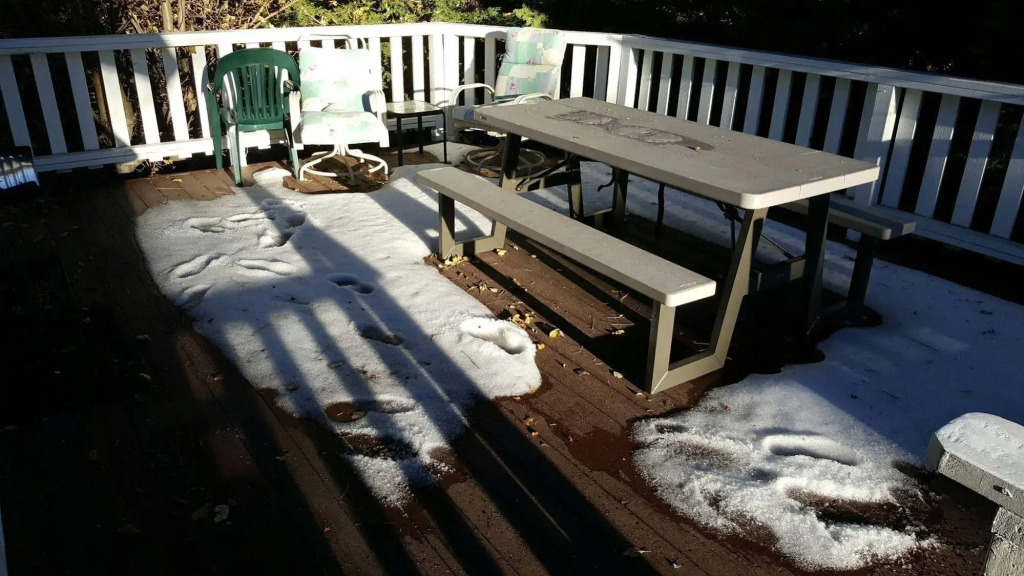 Big Bear Lakeview