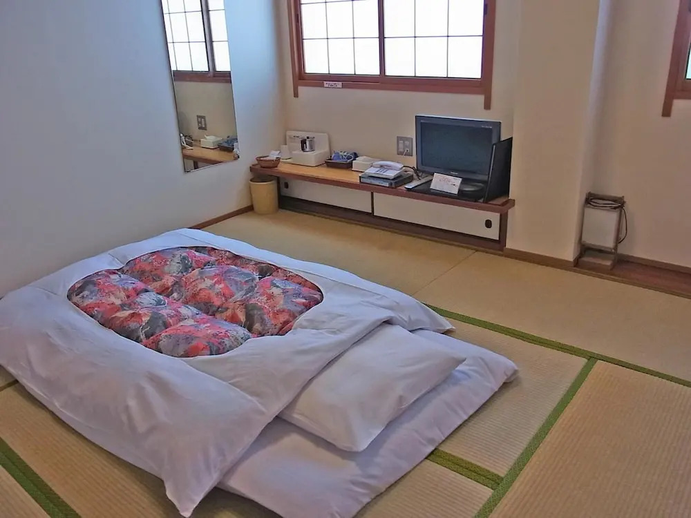 Hotel Ota