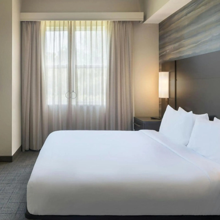 Residence Inn Tampa Suncoast Parkway at NorthPointe Village