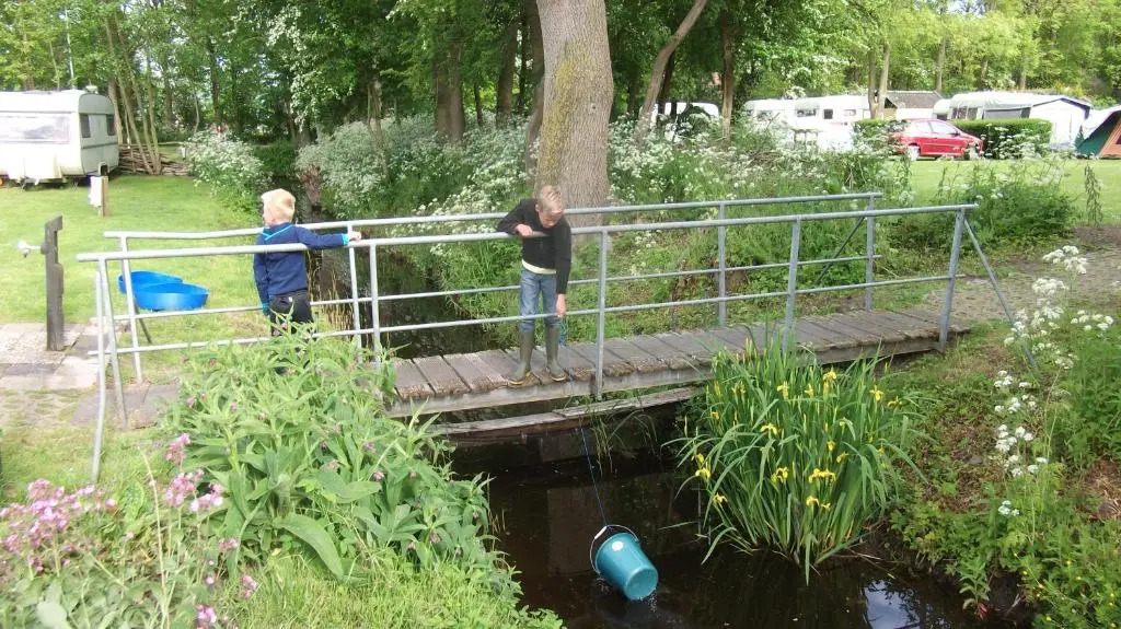 Camping Boetn Toen Pieterburen