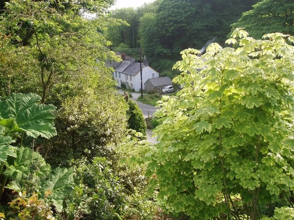 Providence Farm