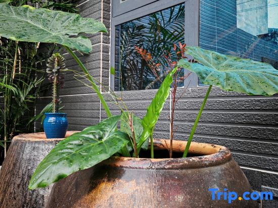 Shengtangli Homestay