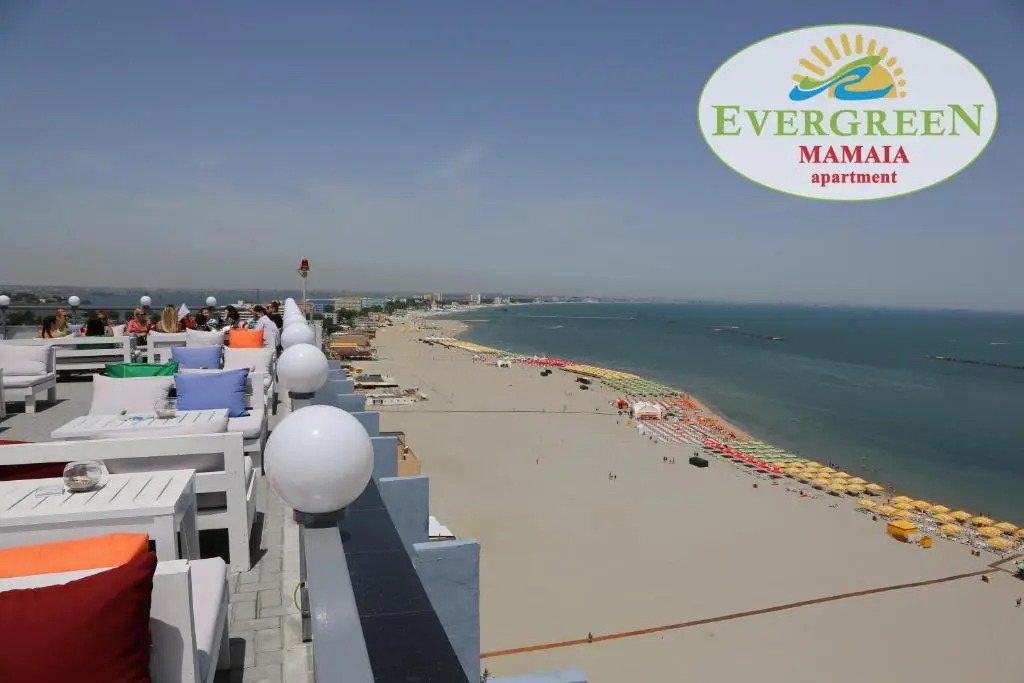 Evergreen Vlas Mamaia