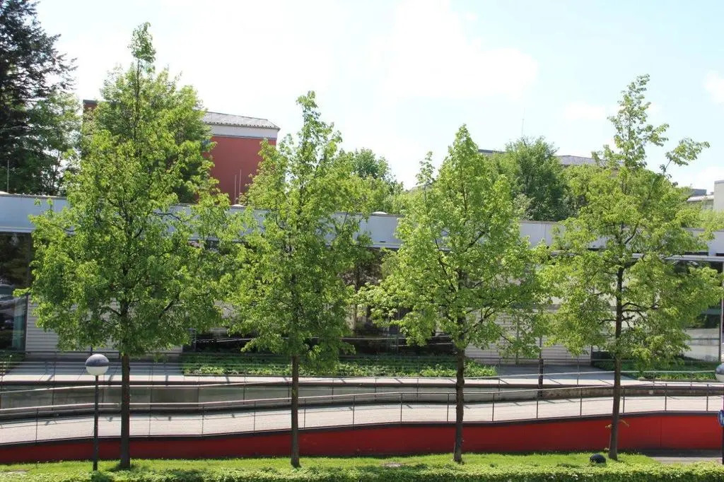 Parkhotel Crombach am Salingarten