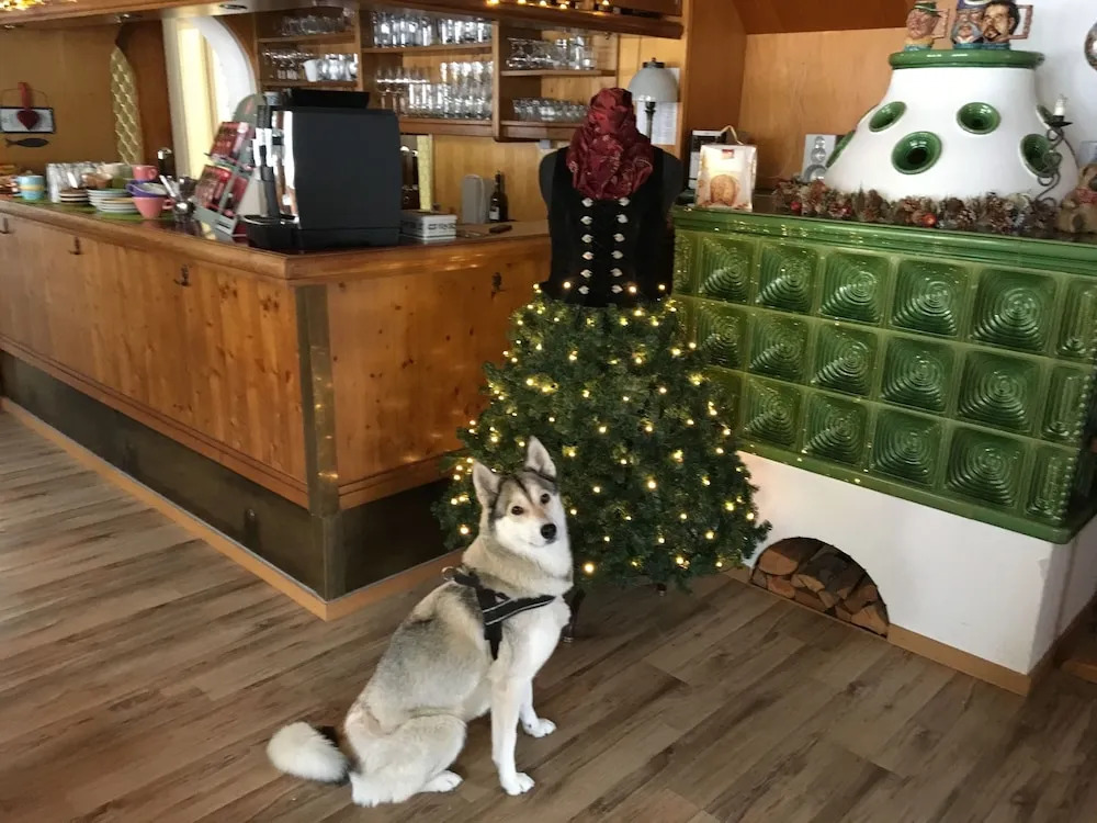 Hotel Pension Schwansee