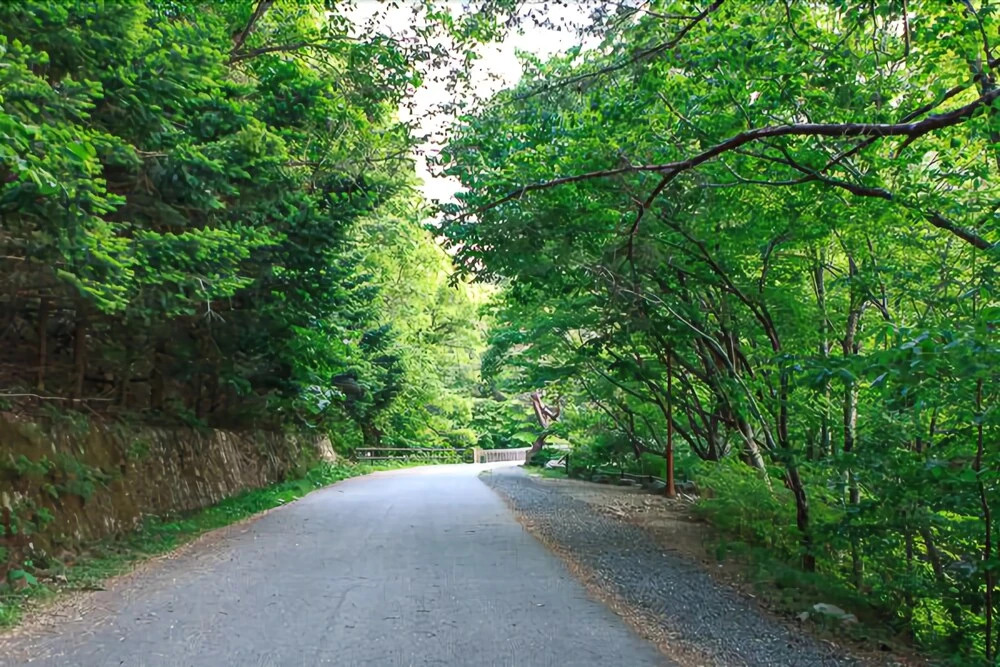 Muju Naos Pension