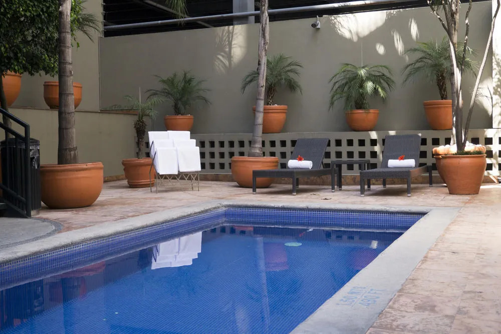 DOMA Polanco