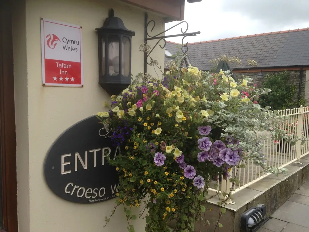 The Harp at Letterston