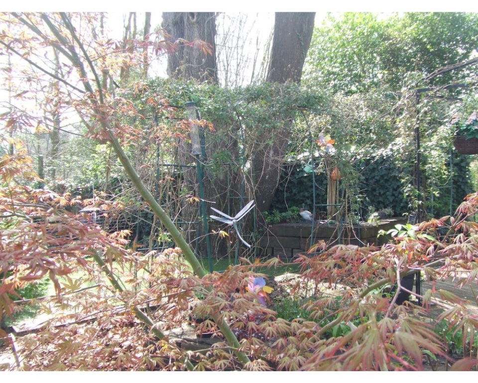 Queens Road Rental - Winchester Accommodation