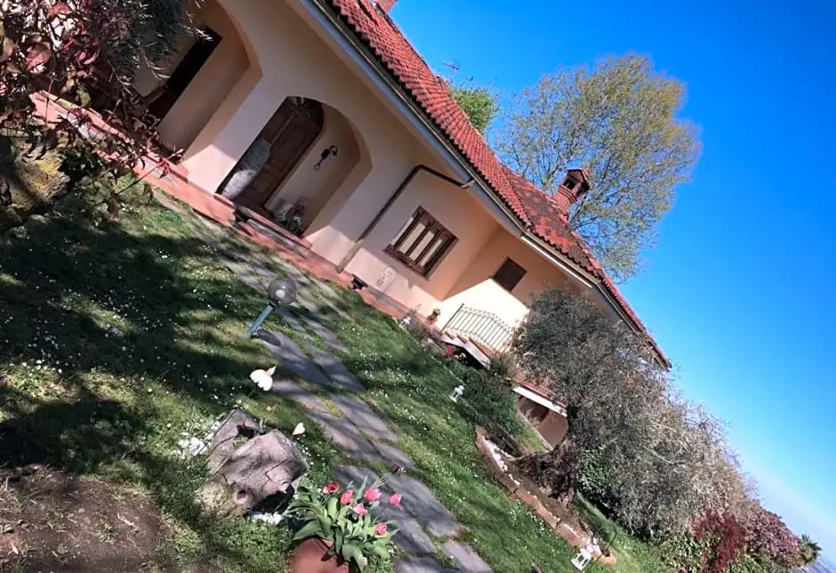 Il giardino degli ulivi