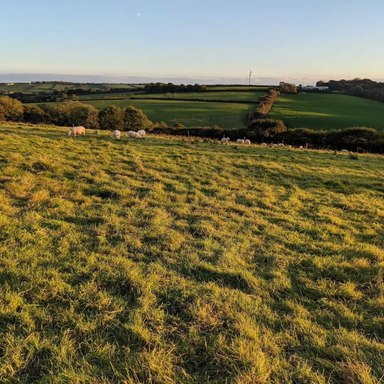 Immaculate Bell Tent Retreat North Devon