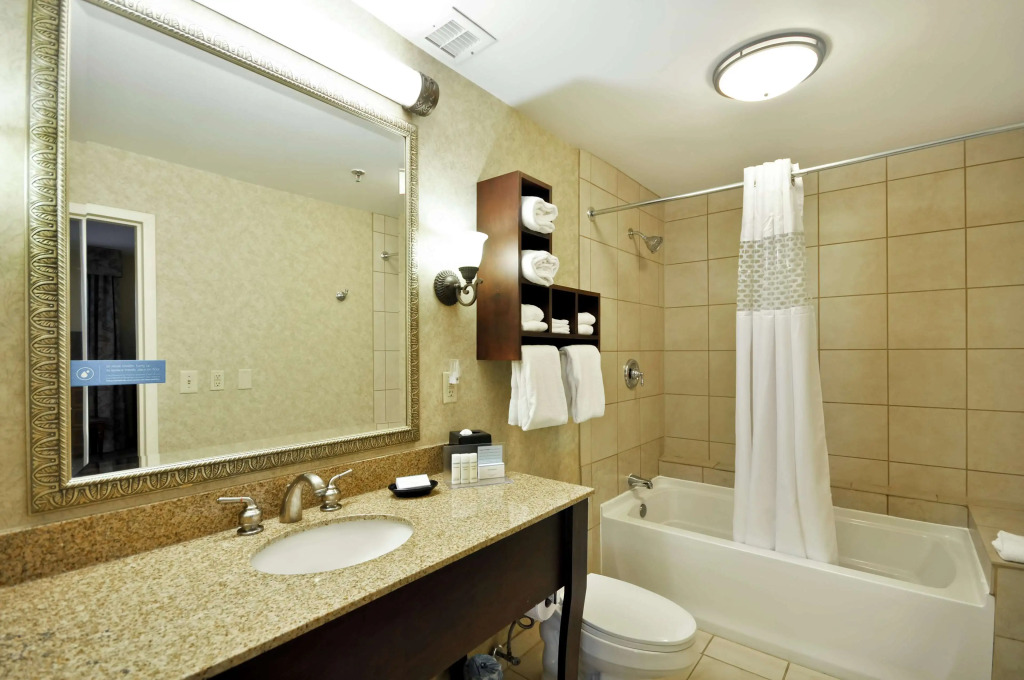 Hampton Inn Charleston-Historic District