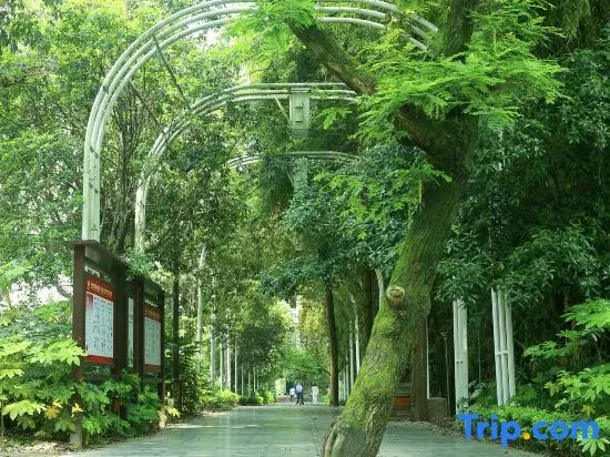 Jiuer Homestay