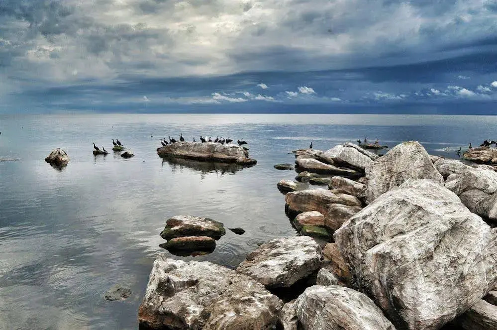 Rubondo Island Camp