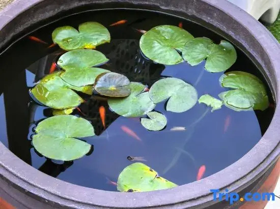 Yingcheng Garden Accommodation (Zibo Ceramics Liuliguan Fuli Wanda Plaza)
