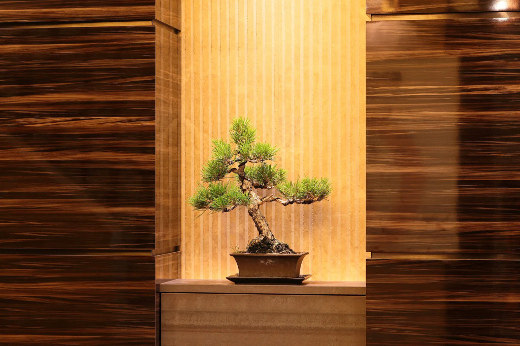 Takamatsu Tokyu REI Hotel