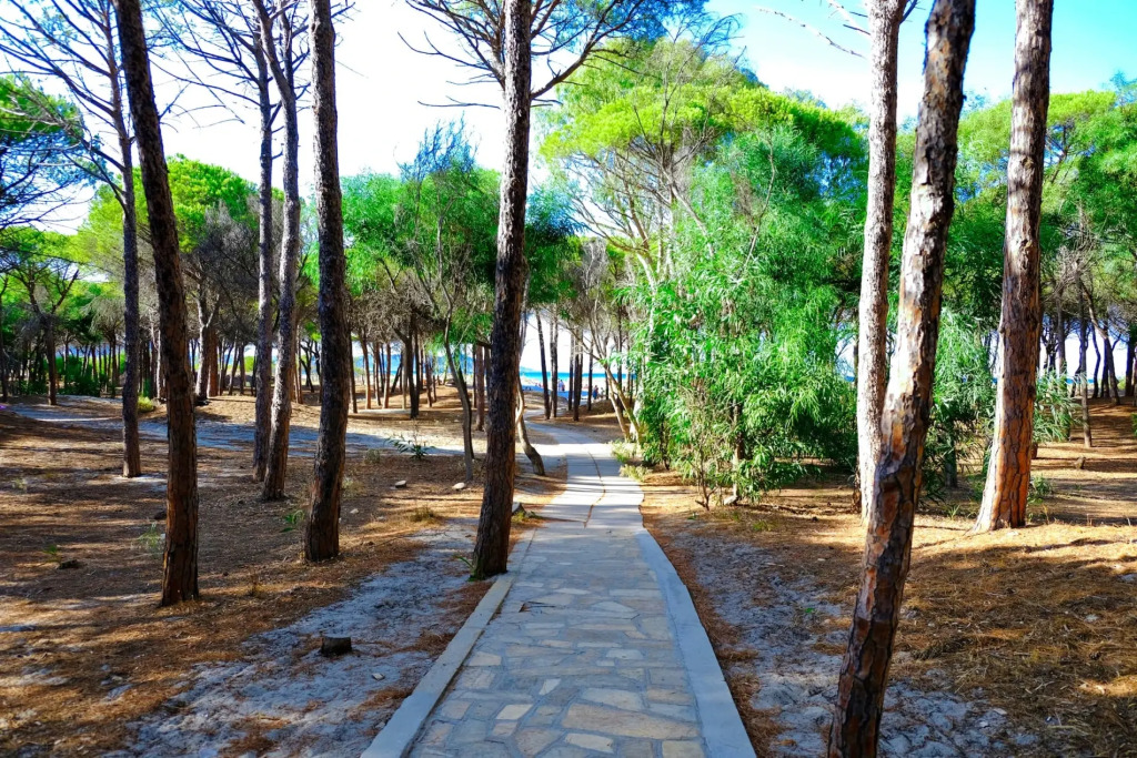 Selema Camping