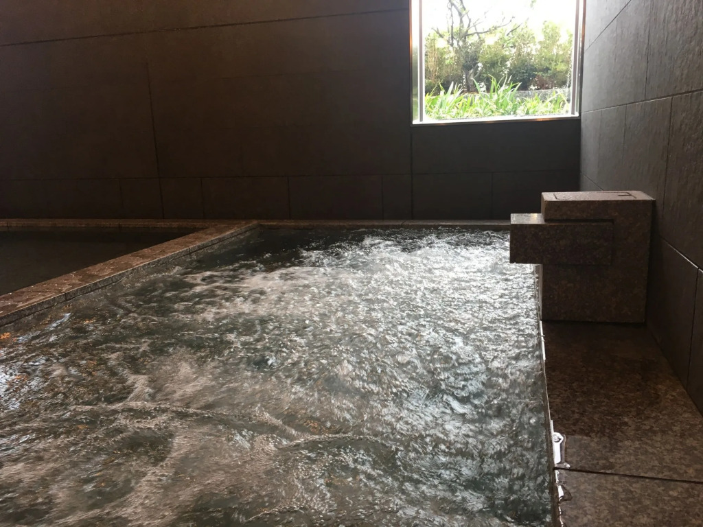 Nihon Seinenkan Hotel