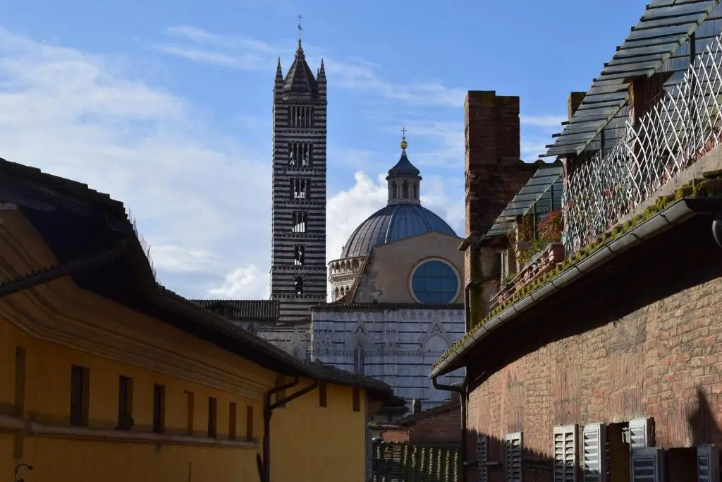 Siena Centro Civetta