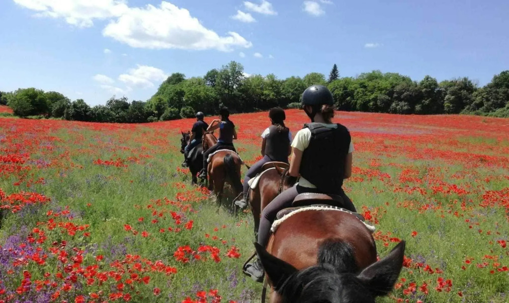 Agriturismo San Filippo