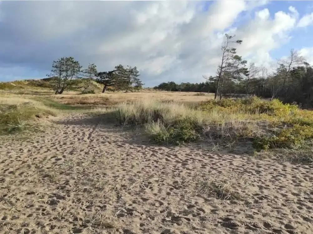 5 star holiday home in Vejby
