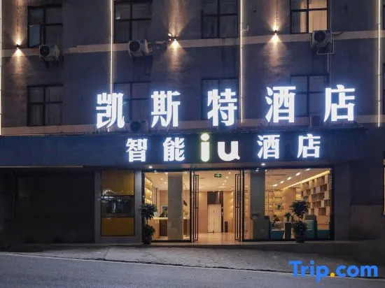 Kaisite Hotel (Nayong County Wanxiang Mall Shopping Center Store)