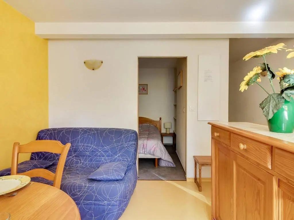 Appartement Cauterets, 1 Pièce, 4 Personnes - Fr-1-401-149
